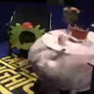 Meet your Posher, Annie